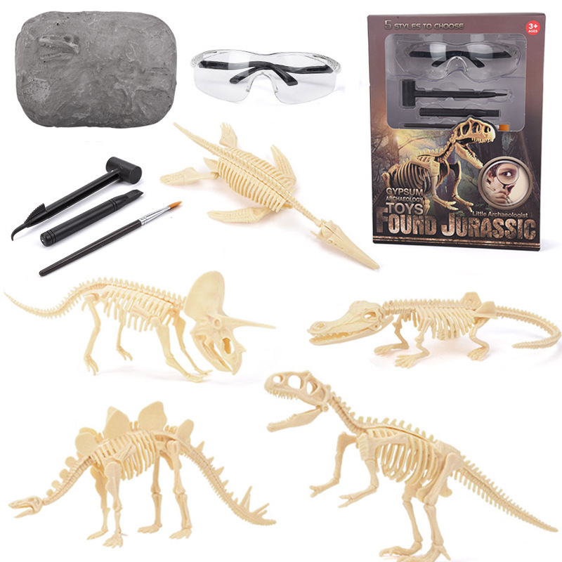 Dinosaur Fossil Excavation Kit - Model Kit For Girls review and price