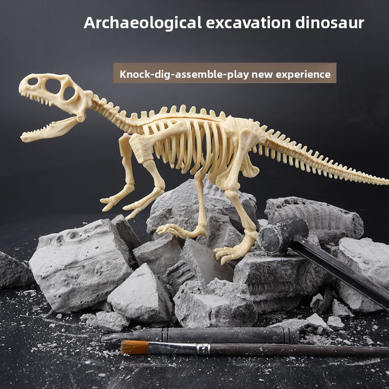 Dinosaur Fossil Excavation Kit - Model Kit For Girls review and price