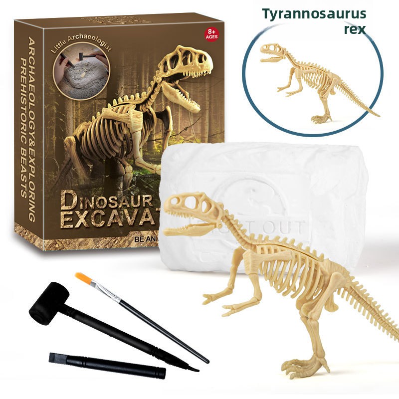 Dinosaur Fossil Excavation Kit - Model Kit For Girls review and price
